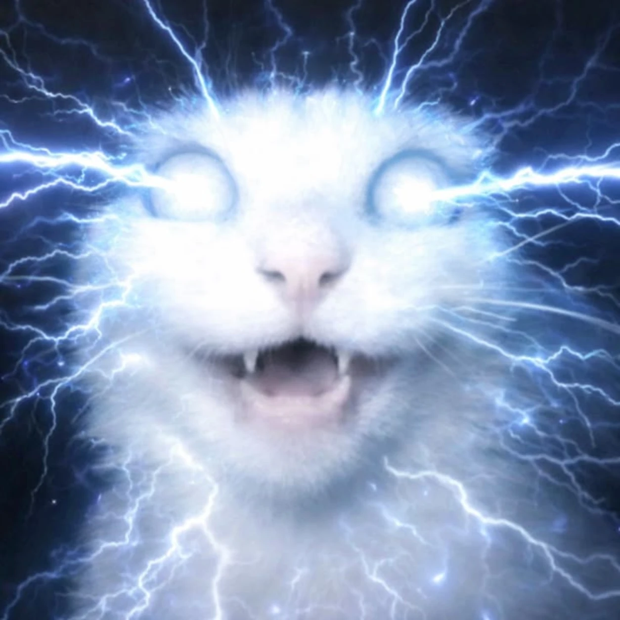 Static Cat surrounded by electricity